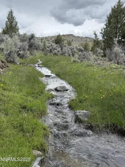 06617024 Wall Canyon Reservoir Rd, Wadsworth, Nevada 89442, ,Land,Residential,Wall Canyon Reservoir Rd,250051989