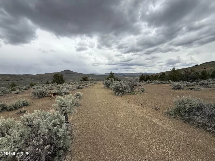 06617024 Wall Canyon Reservoir Rd, Wadsworth, Nevada 89442, ,Land,Residential,Wall Canyon Reservoir Rd,250051989