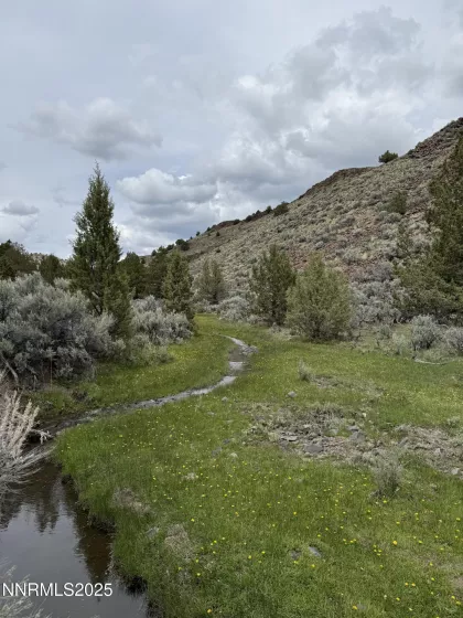 06617024 Wall Canyon Reservoir Rd, Wadsworth, Nevada 89442, ,Land,Residential,Wall Canyon Reservoir Rd,250051989