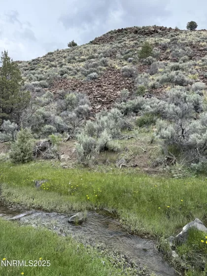 06617024 Wall Canyon Reservoir Rd, Wadsworth, Nevada 89442, ,Land,Residential,Wall Canyon Reservoir Rd,250051989