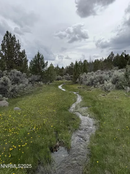 06617024 Wall Canyon Reservoir Rd, Wadsworth, Nevada 89442, ,Land,Residential,Wall Canyon Reservoir Rd,250051989