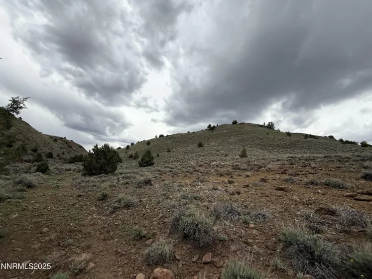 06617024 Wall Canyon Reservoir Rd, Wadsworth, Nevada 89442, ,Land,Residential,Wall Canyon Reservoir Rd,250051989
