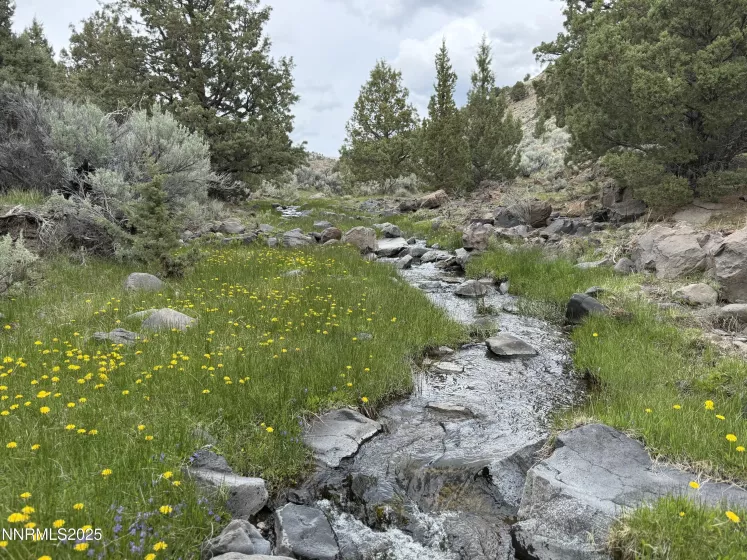 06617024 Wall Canyon Reservoir Rd, Wadsworth, Nevada 89442, ,Land,Residential,Wall Canyon Reservoir Rd,250051989