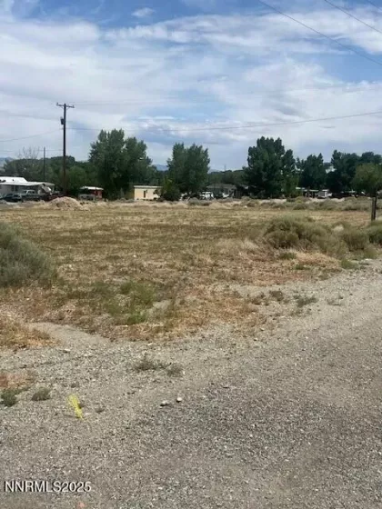 46 Bridge, Yerington, Nevada 89447, ,Land,Residential,Bridge,250051994