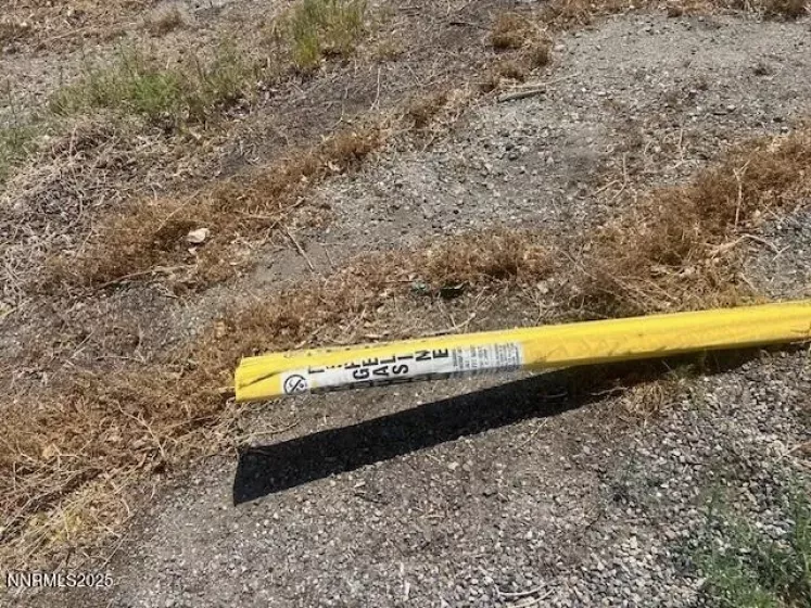 46 Bridge, Yerington, Nevada 89447, ,Land,Residential,Bridge,250051994