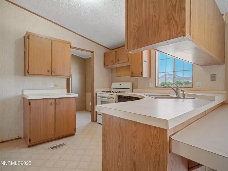 209 Elizabeth, Dayton, Nevada 89403, 3 Bedrooms Bedrooms, ,2 BathroomsBathrooms,Residential,Residential,Elizabeth,250051998