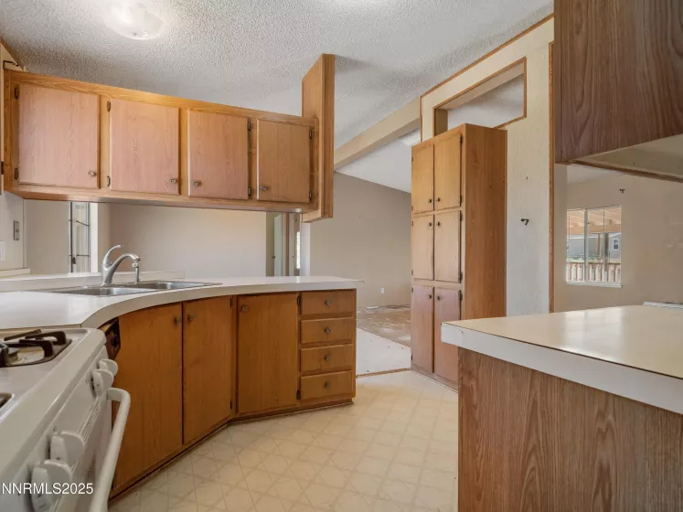 209 Elizabeth, Dayton, Nevada 89403, 3 Bedrooms Bedrooms, ,2 BathroomsBathrooms,Residential,Residential,Elizabeth,250051998