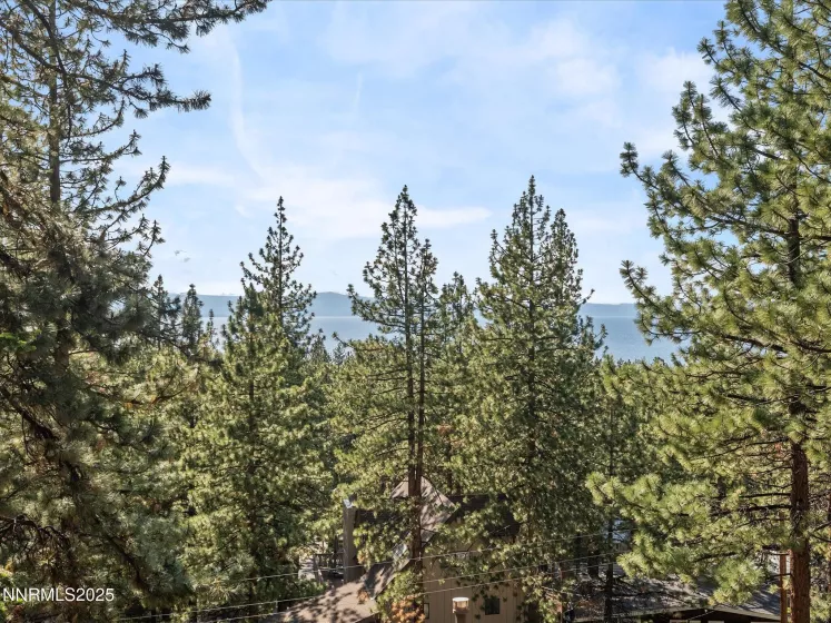699 Lakeview, Zephyr Cove, Nevada 89448, 3 Bedrooms Bedrooms, ,2 BathroomsBathrooms,Residential,Residential,Lakeview,250052003