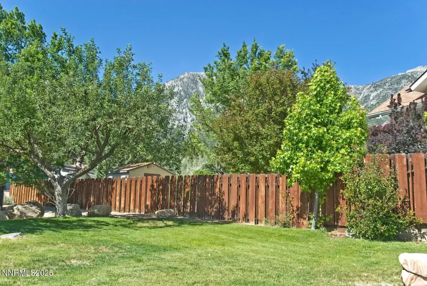 395 Fricke, Gardnerville, Nevada 89460, 3 Bedrooms Bedrooms, ,2 BathroomsBathrooms,Residential,Residential,Fricke,250052007
