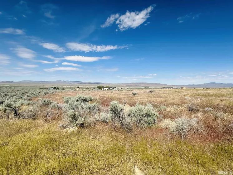 12585 Hawthorne, Lovelock, Nevada 89419, ,Land,Residential,Hawthorne,250052066