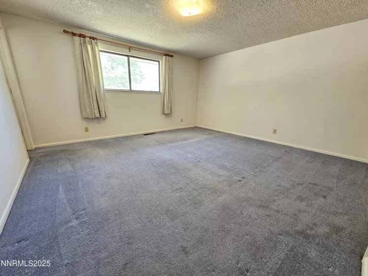 4100 Woodcock, Washoe Valley, Nevada 89704, 2 Bedrooms Bedrooms, ,2 BathroomsBathrooms,Residential,Residential,Woodcock,250052103