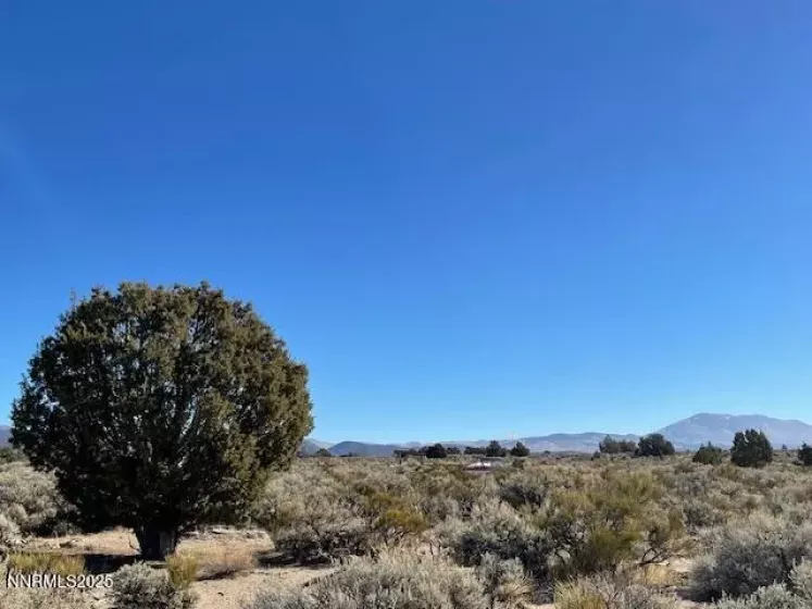 0 Sunrise Pass Dr., Minden, Nevada 89423, ,Land,Residential,Sunrise Pass Dr.,250052111
