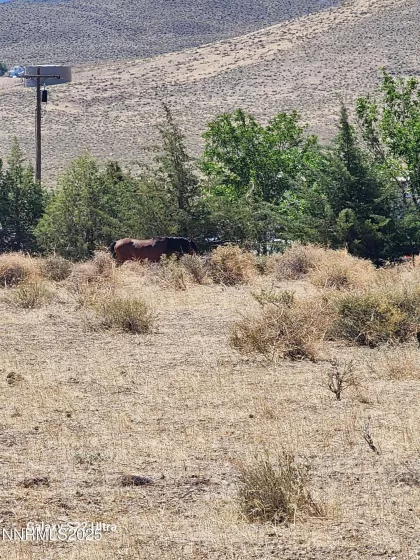 0 Glick, Silver Springs, Nevada 89429, ,Land,Residential,Glick,250052163