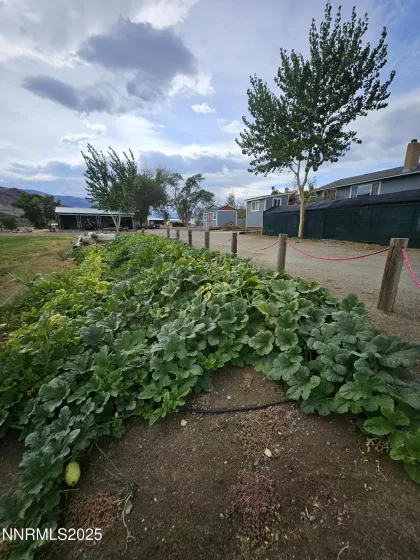 31850 Cantlon, Wadsworth, Nevada 89442, 4 Bedrooms Bedrooms, ,3 BathroomsBathrooms,Residential,Residential,Cantlon,250052174