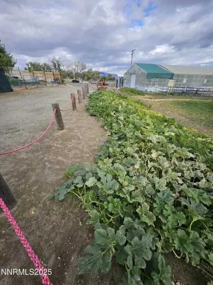 31850 Cantlon, Wadsworth, Nevada 89442, 4 Bedrooms Bedrooms, ,3 BathroomsBathrooms,Residential,Residential,Cantlon,250052174