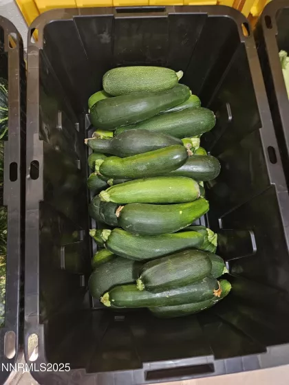 31850 Cantlon, Wadsworth, Nevada 89442, 4 Bedrooms Bedrooms, ,3 BathroomsBathrooms,Residential,Residential,Cantlon,250052174