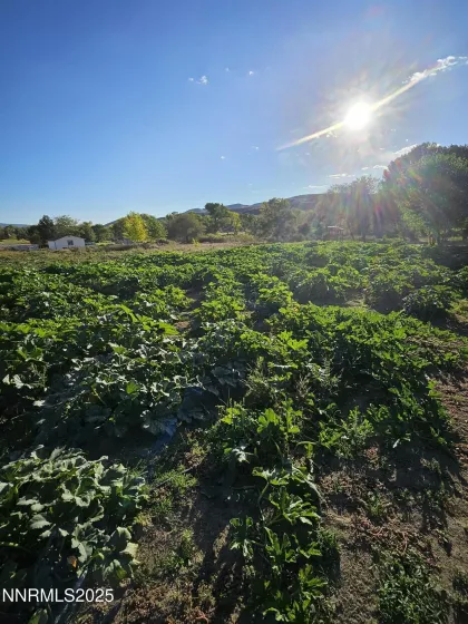 31850 Cantlon, Wadsworth, Nevada 89442, 4 Bedrooms Bedrooms, ,3 BathroomsBathrooms,Residential,Residential,Cantlon,250052174