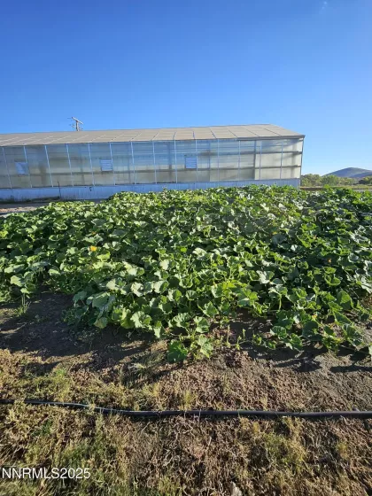 31850 Cantlon, Wadsworth, Nevada 89442, 4 Bedrooms Bedrooms, ,3 BathroomsBathrooms,Residential,Residential,Cantlon,250052174