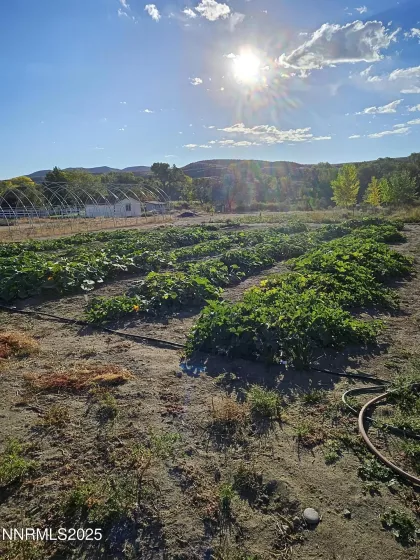 31850 Cantlon, Wadsworth, Nevada 89442, 4 Bedrooms Bedrooms, ,3 BathroomsBathrooms,Residential,Residential,Cantlon,250052174