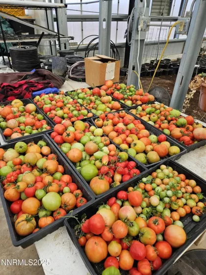 31850 Cantlon, Wadsworth, Nevada 89442, 4 Bedrooms Bedrooms, ,3 BathroomsBathrooms,Residential,Residential,Cantlon,250052174