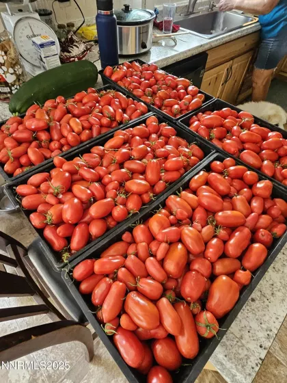 31850 Cantlon, Wadsworth, Nevada 89442, 4 Bedrooms Bedrooms, ,3 BathroomsBathrooms,Residential,Residential,Cantlon,250052174