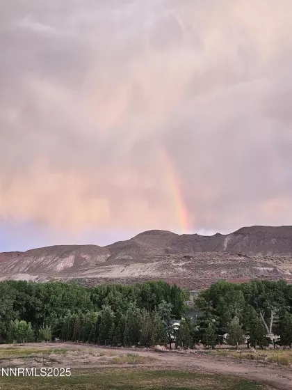 31850 Cantlon, Wadsworth, Nevada 89442, 4 Bedrooms Bedrooms, ,3 BathroomsBathrooms,Residential,Residential,Cantlon,250052174