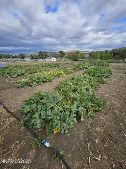 31850 Cantlon, Wadsworth, Nevada 89442, 4 Bedrooms Bedrooms, ,3 BathroomsBathrooms,Residential,Residential,Cantlon,250052174