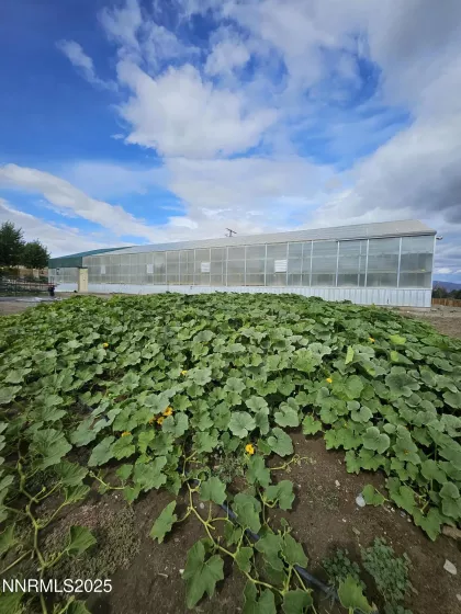 31850 Cantlon, Wadsworth, Nevada 89442, 4 Bedrooms Bedrooms, ,3 BathroomsBathrooms,Residential,Residential,Cantlon,250052174