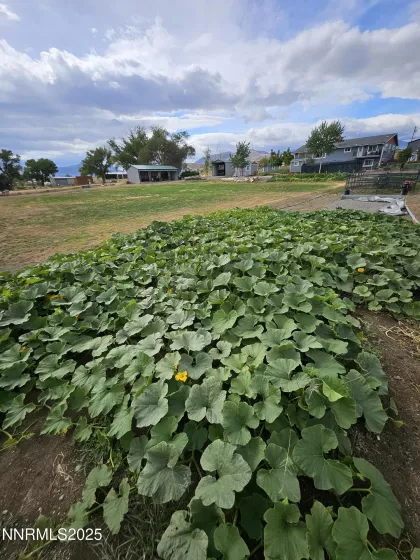 31850 Cantlon, Wadsworth, Nevada 89442, 4 Bedrooms Bedrooms, ,3 BathroomsBathrooms,Residential,Residential,Cantlon,250052174