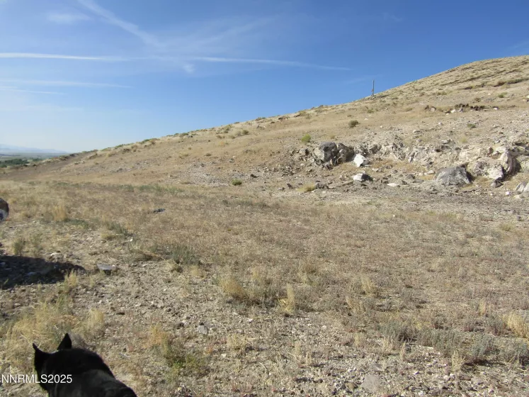 TBD Hwy 339, Yerington, Nevada 89447, ,Land,Residential,Hwy 339,250052187