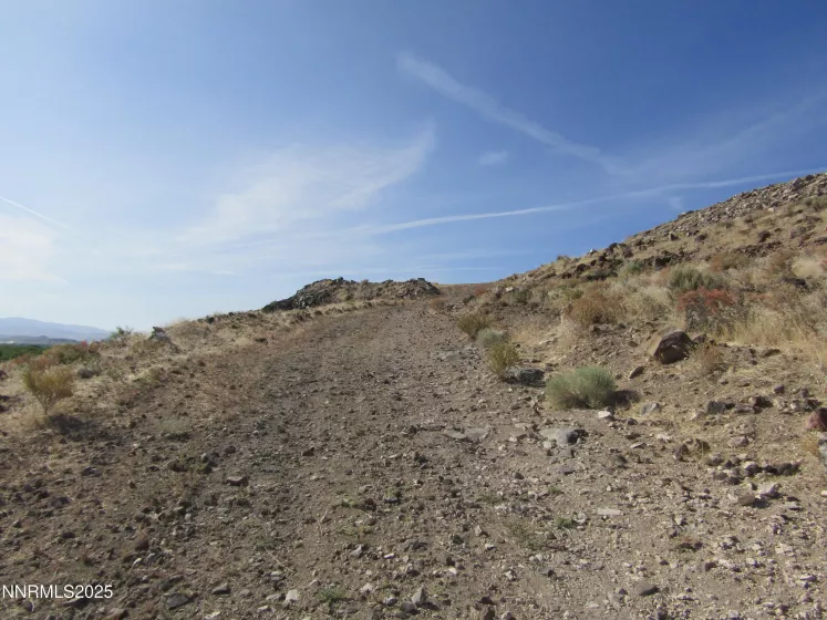 TBD Hwy 339, Yerington, Nevada 89447, ,Land,Residential,Hwy 339,250052187