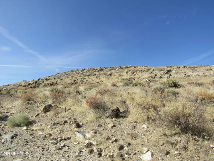 TBD Hwy 339, Yerington, Nevada 89447, ,Land,Residential,Hwy 339,250052187