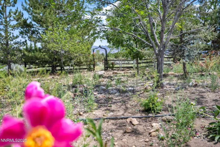 14210 Wild Quail, Reno, Nevada 89511, 4 Bedrooms Bedrooms, ,3 BathroomsBathrooms,Residential,Residential,Wild Quail,250052202