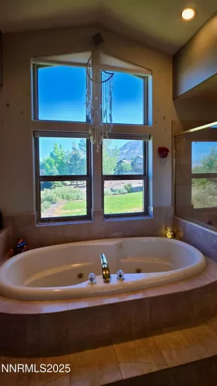 Master Bathtub with view