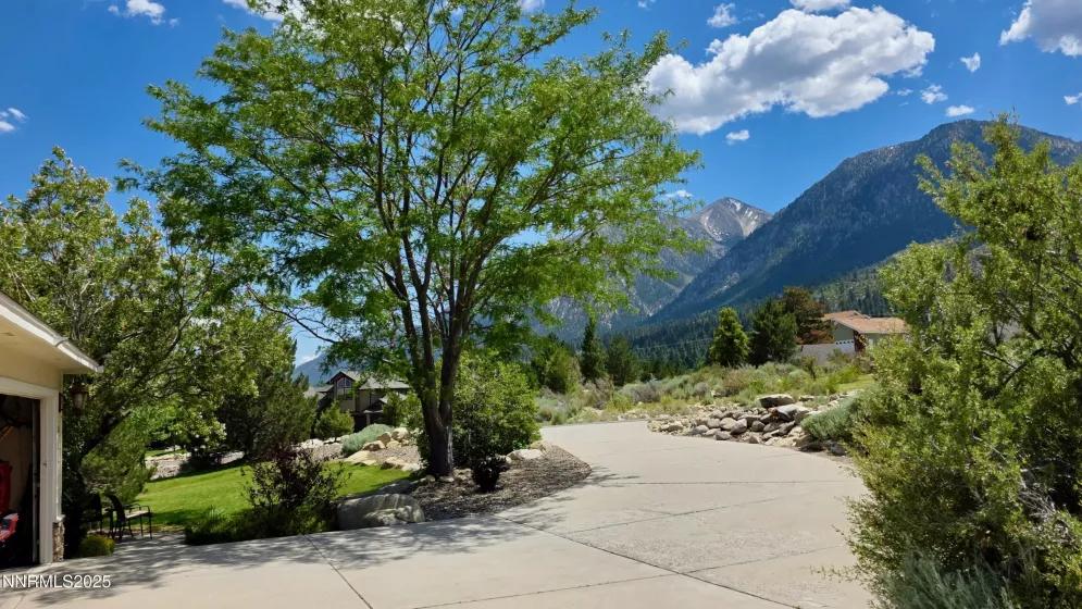 Front Driveway