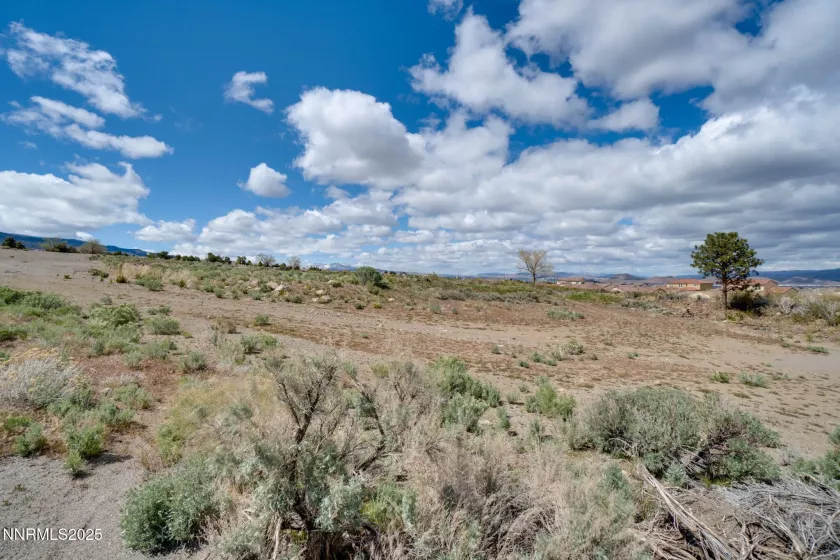 13315 Arrowcreek, Reno, Nevada 89511, ,Land,Residential,Arrowcreek,250052251