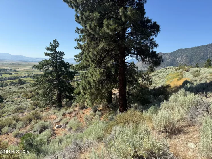 2592 Eagle Ridge, Genoa, Nevada 89411, ,Land,Residential,Eagle Ridge,250052255