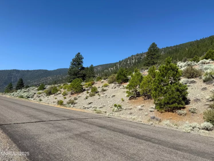 2592 Eagle Ridge, Genoa, Nevada 89411, ,Land,Residential,Eagle Ridge,250052255