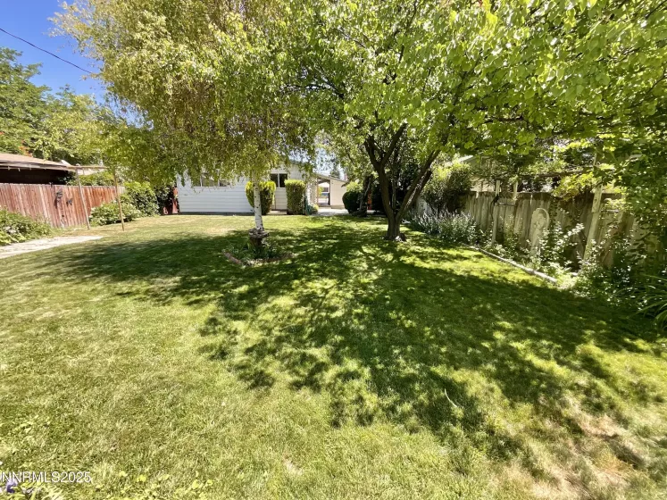 1685 Elmhurst, Lovelock, Nevada 89419, 3 Bedrooms Bedrooms, ,1 BathroomBathrooms,Residential,Residential,Elmhurst,250052267