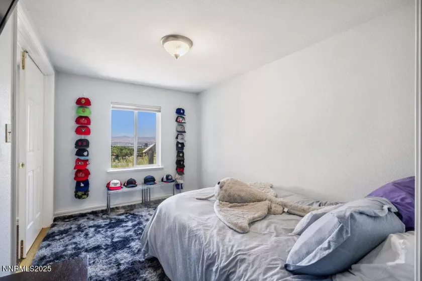 2919 Mountain Springs, Reno, Nevada 89519, 4 Bedrooms Bedrooms, ,4 BathroomsBathrooms,Residential,Residential,Mountain Springs,250052288