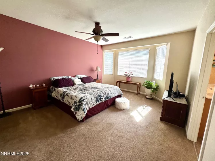 11044 Lamour, Reno, Nevada 89521, 3 Bedrooms Bedrooms, ,3 BathroomsBathrooms,Residential,Residential,Lamour,250052306