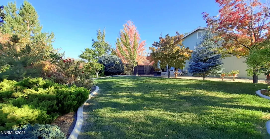 Backyard (Autumn)