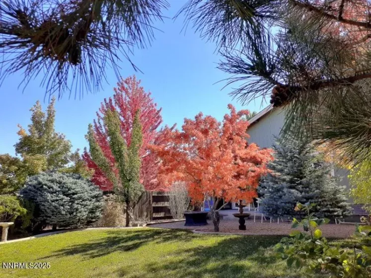 831 Golden Valley, Reno, Nevada 89506, 4 Bedrooms Bedrooms, ,2 BathroomsBathrooms,Residential,Residential,Golden Valley,250052222