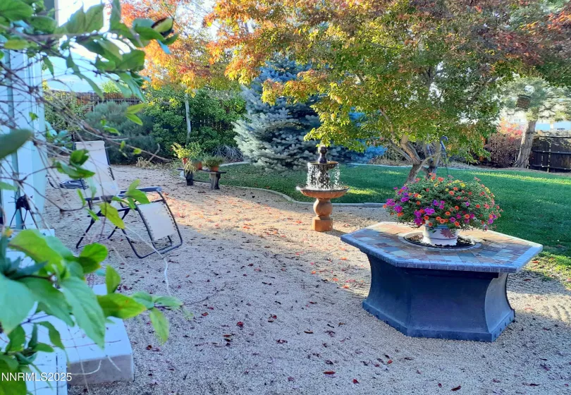 Backyard (Autumn)