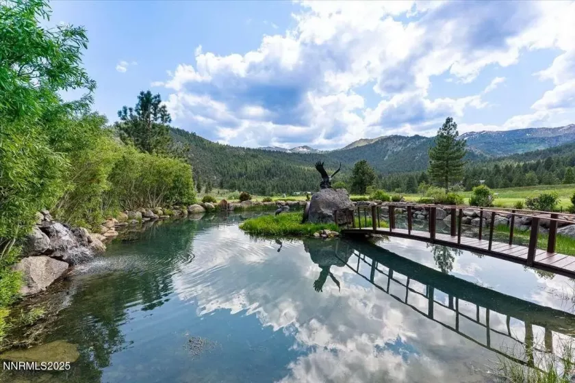 16400 Logan Meadow, Reno, Nevada 89511, 3 Bedrooms Bedrooms, ,3 BathroomsBathrooms,Farm & Ranch,Residential,Logan Meadow,250052326