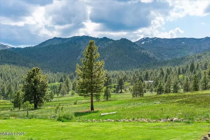 16400 Logan Meadow, Reno, Nevada 89511, 3 Bedrooms Bedrooms, ,3 BathroomsBathrooms,Farm & Ranch,Residential,Logan Meadow,250052326