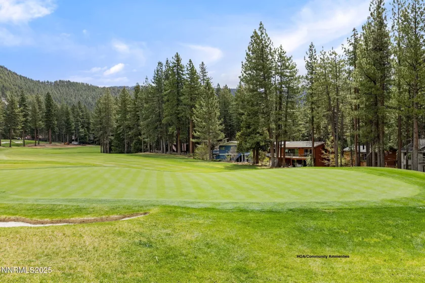 908 Harold, Incline Village, Nevada 89451, 3 Bedrooms Bedrooms, ,3 BathroomsBathrooms,Residential,Residential,Harold,250052343
