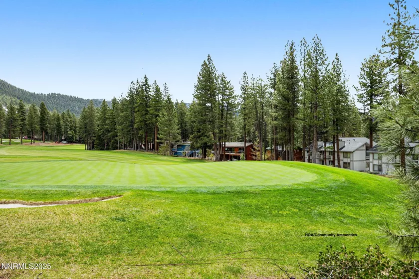 908 Harold, Incline Village, Nevada 89451, 3 Bedrooms Bedrooms, ,3 BathroomsBathrooms,Residential,Residential,Harold,250052343