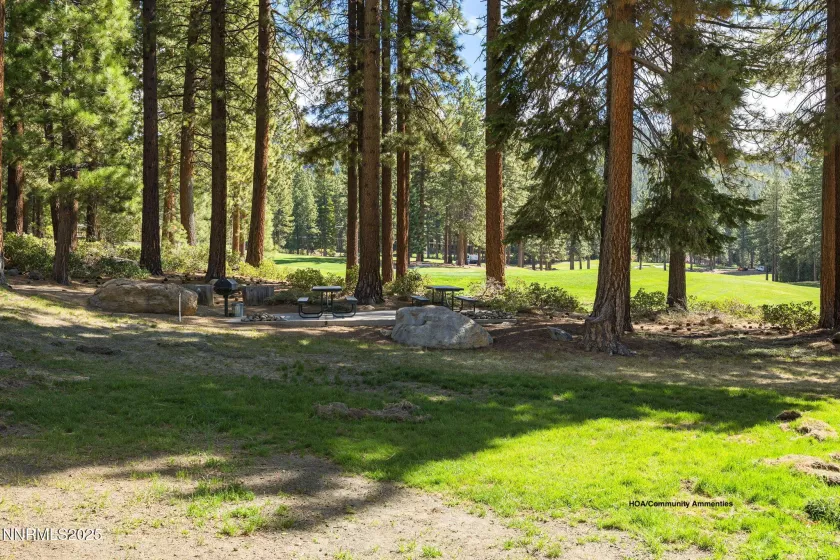 908 Harold, Incline Village, Nevada 89451, 3 Bedrooms Bedrooms, ,3 BathroomsBathrooms,Residential,Residential,Harold,250052343