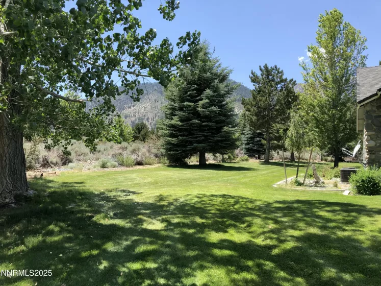 770 Parman, Gardnerville, Nevada 89460, 3 Bedrooms Bedrooms, ,3 BathroomsBathrooms,Residential,Residential,Parman,250051285